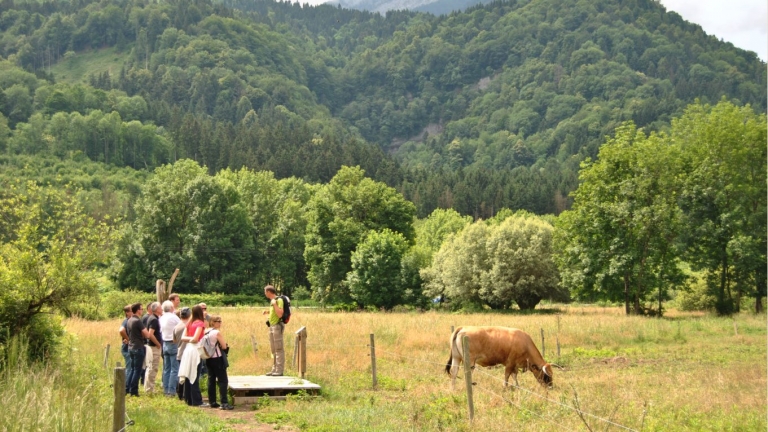 visite guide des tourbieres