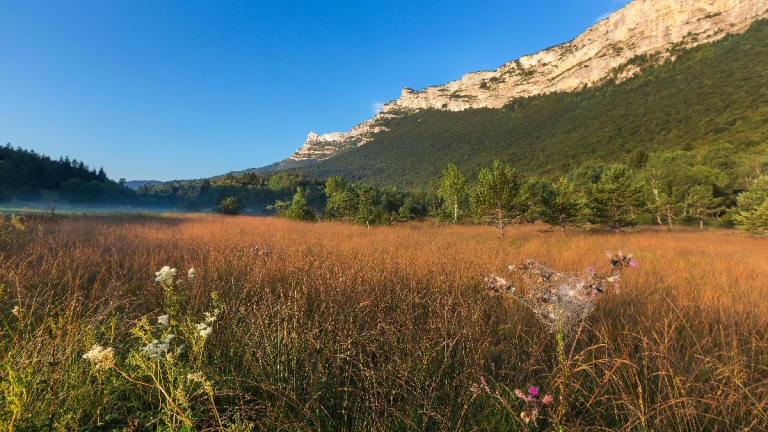 ENS Tourbire du Peuil