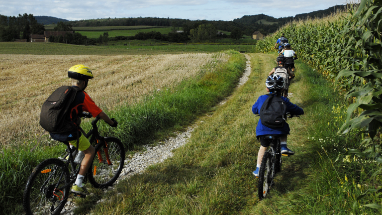 Circuit VTT le champ des vaches