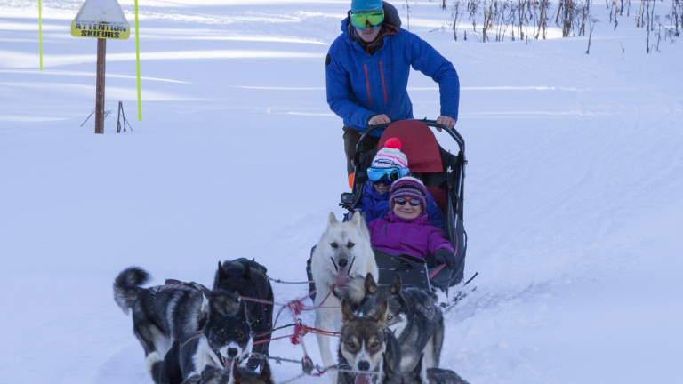 Photo chiens de traineau Chamrousse