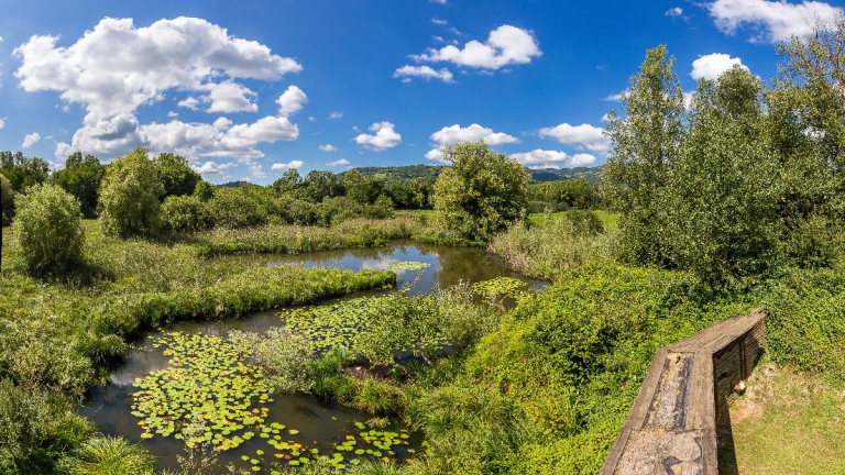 Sentier Boucle des Moles