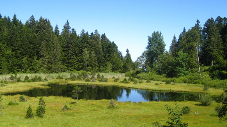 Rserve Naturelle du luitel - Schilienne