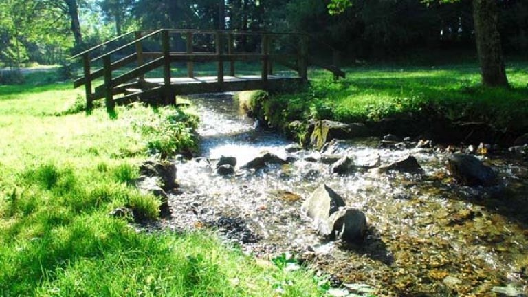 Le torrent  l'entre de la Chartreuse de Prmol