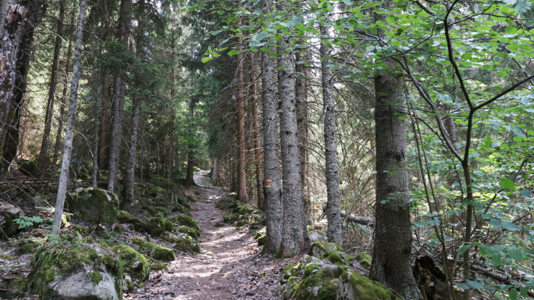 Sentier en fort autour d'Oz-en-Oisans