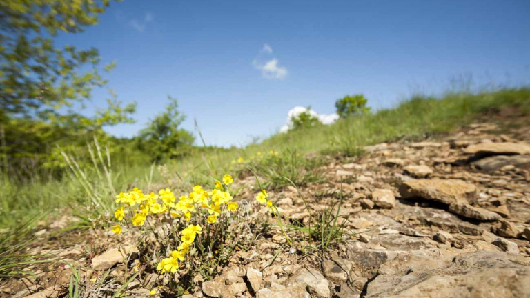 ENS du Val d'Amby