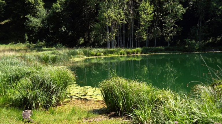 Photo Lac de Saint Sixte Valdaine