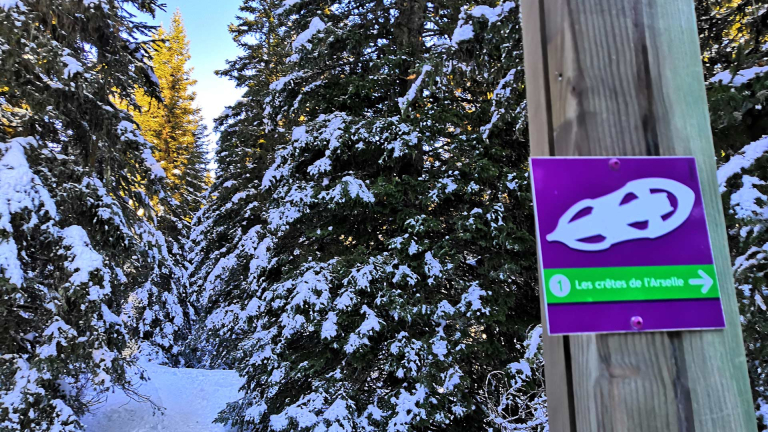 Photo sentier raquette  neige Crtes de l'Arselle Chamrousse