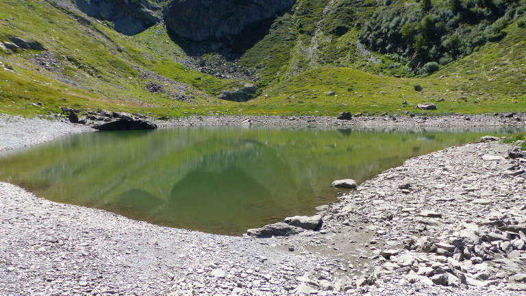 Lec lac dans son crin de verdure