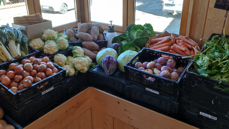 Boutique des Vergers du Bouchage, producteurs des Balcons du Dauphin, Nord Isre