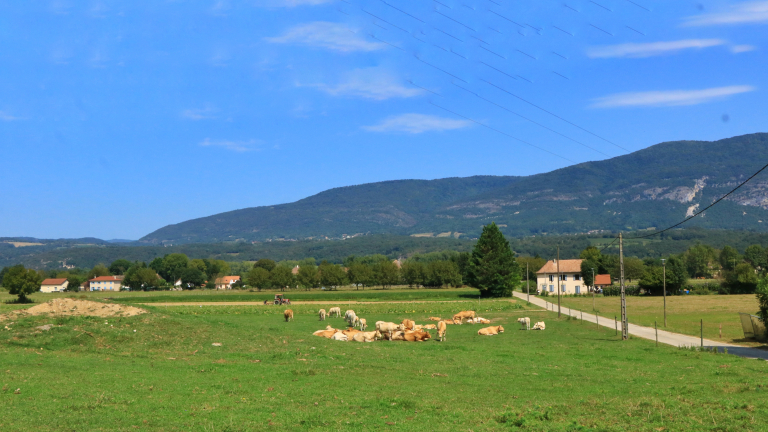 La Tour des Saveurs - producteur - Brangues - Balcons du Dauphin - Nord-Isre-  moins d'une heure de Lyon