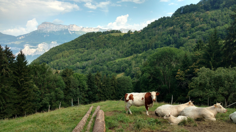 Vue sur la dent de Crolles