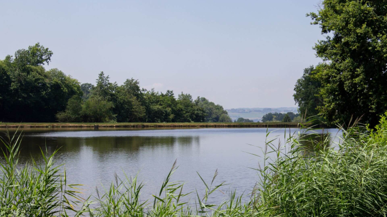 Etang du Vivier - Valencogne