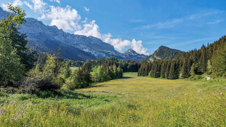 Vallon de la Fauge