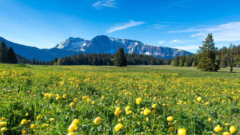 Photo du plateau de l'Arselle en t