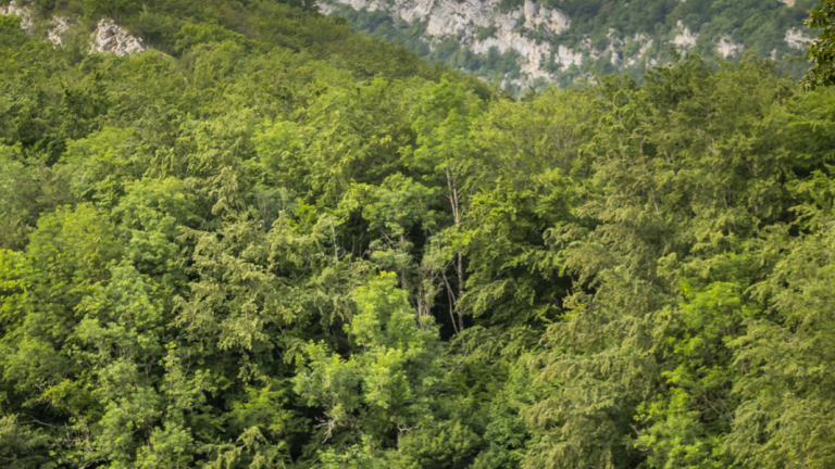 La cte Charvet depuis Mont Saint Martin