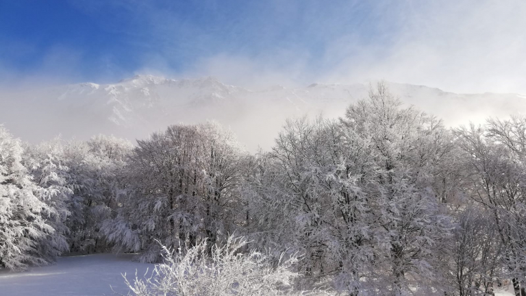 Col d'Ornon - Parcours d'orientation hiver