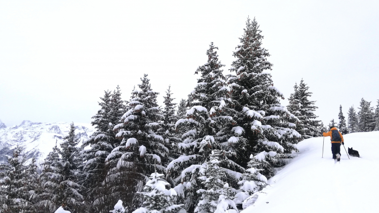 montee piste crocus vue sur la meige