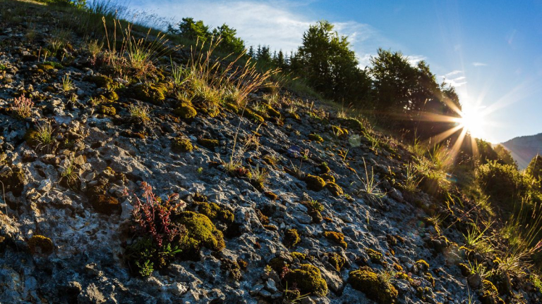 Valle fossile des Rimets