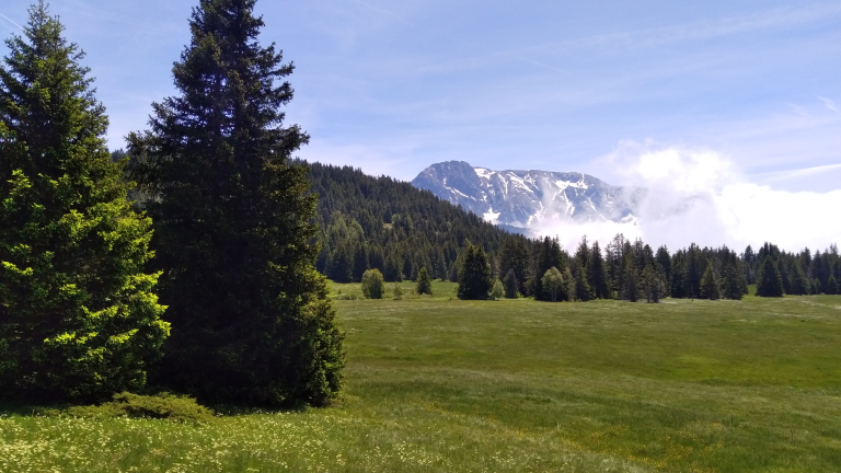 Plateau de l'Arselle