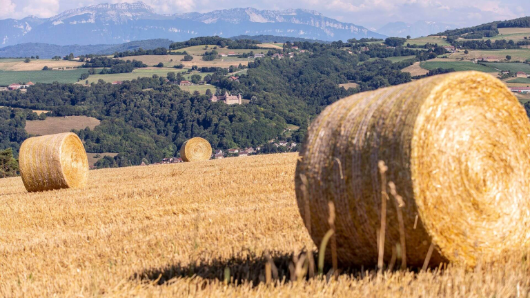 Randonne Chlieu par monts et ruisseaux - vue chteau de Virieu