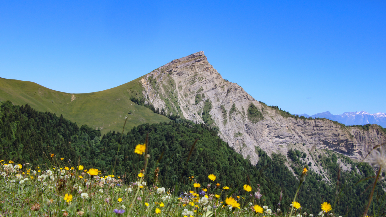 depuis le col de la chante