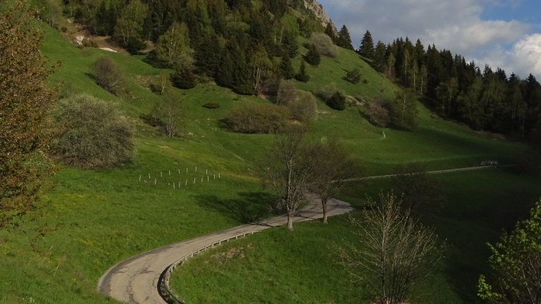 Rando trail - n5 Bleu - La monte de l'Alpe