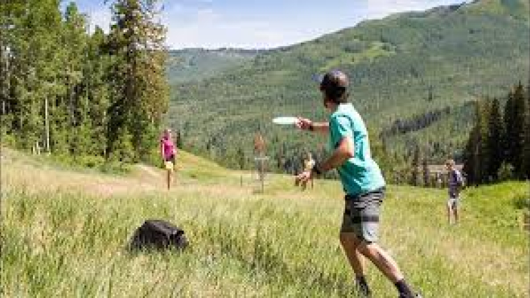 Frisbee golf image