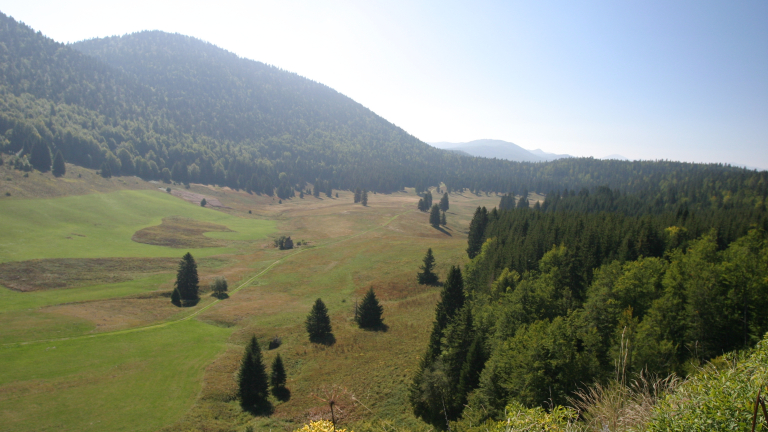 Plaine d'herbouilly