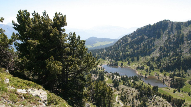 Photo lac Achard Chamrousse