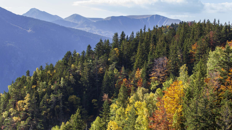 Photo automne domaine montagne Chamrousse