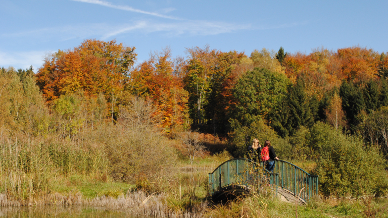 Etang des chartreux