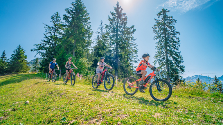 Famille sur un sentier VTT, paysage nature vert avec sapins