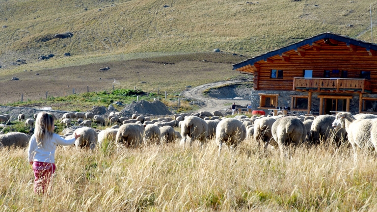 Le refuge de Sarenne