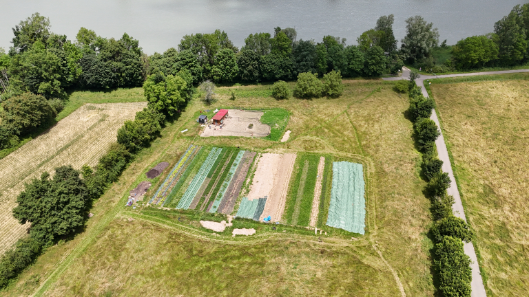 Les jardins du Port Saint Jean - producteur - Brangues - Balcons du Dauphin