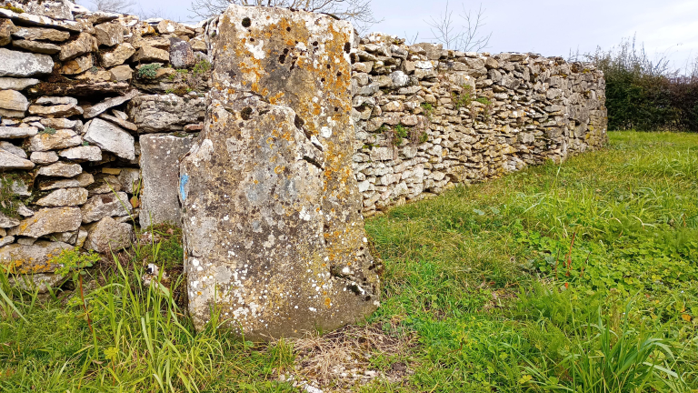 Vue sur un mur en pierres sches  Parmilieu - Balcons du Dauphin