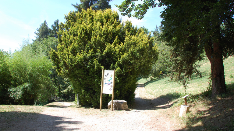 Sentier bontanique - dpart