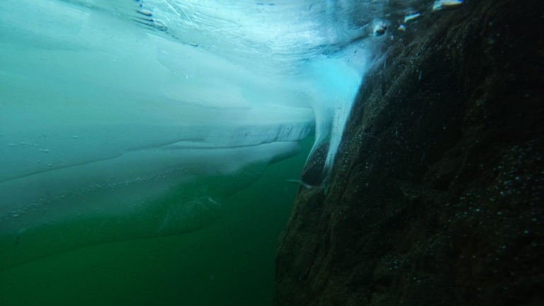 Plonge sous glace