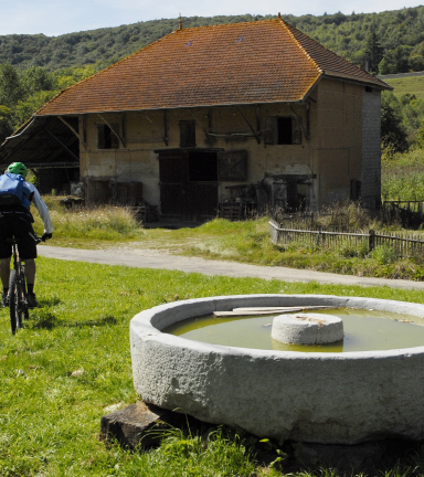 Circuit VTT le champ des vaches