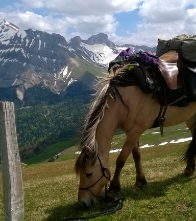 Sjour questre  la Ferme Equestre des 4 Chemins