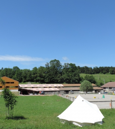 La Ferme Equestre des 4 Chemins