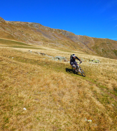 Descente dans les alpages