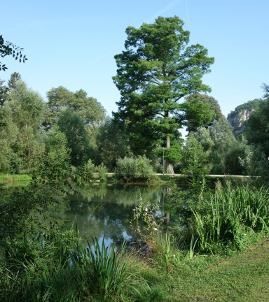 Parc de Rochepleine