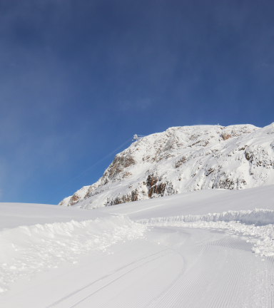 Piste dame  2000m d'altitude, permettant au piton de faire de la randonne