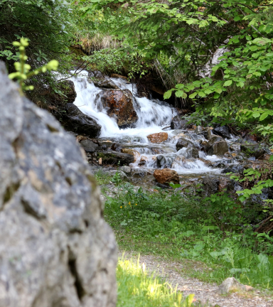 Cours d'eau sur le sentier