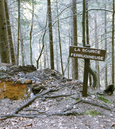 Petite source de couleur rouille au coeur de la fort d'Oz-en-Oisans