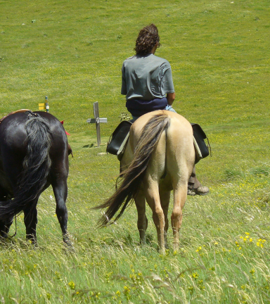 Dcouverte des alpages du sud-Isre  cheval