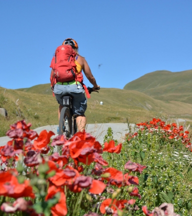 Route des Cols