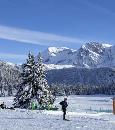 Photo domaine nordique Plateau de l'Arselle Chamrousse