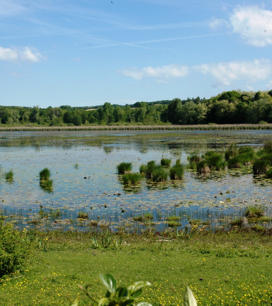 Etang de la Salette - OTSI Morestel