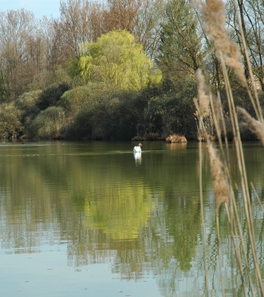 Etangs de la Serre - BIT Morestel